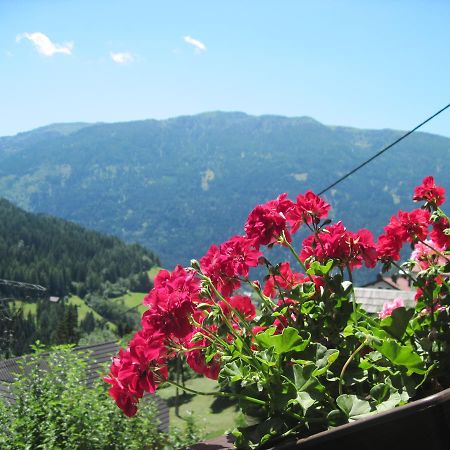Chalet Catton Two Bedroom Appartement Near Bad Kleinkirchheim Radenthein Exteriér fotografie
